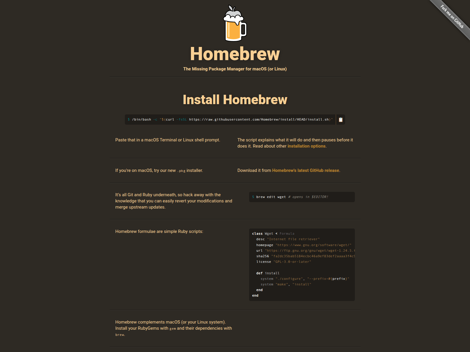 Página do ClickFix com tema homebrew
